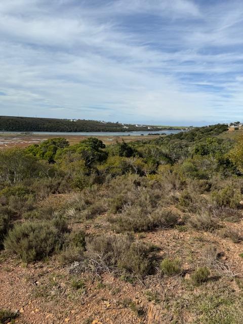 0 Bedroom Property for Sale in Kromme River Estate Eastern Cape